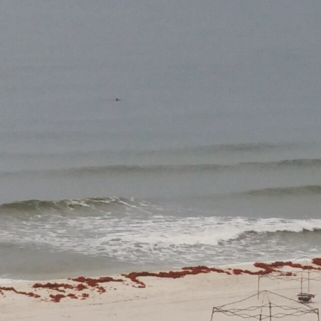 Dolphins at Regency Isle this morning. #dolphins #RegencyIsle #OrangeBeachCondo #OrangeBeach