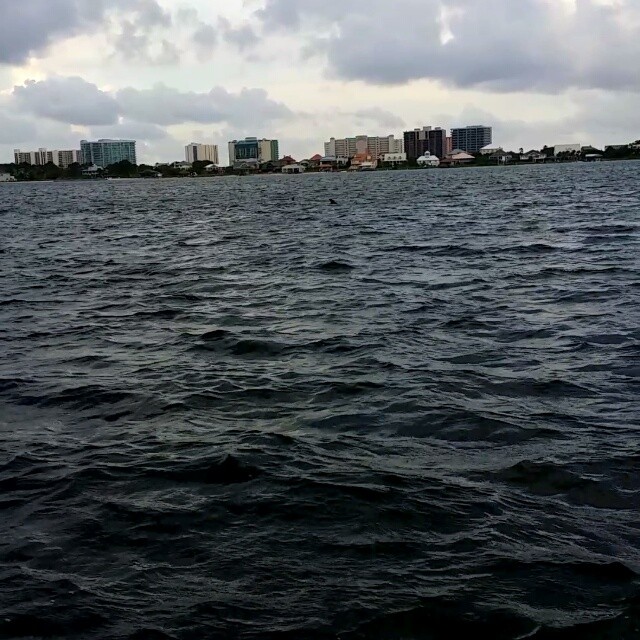 Spotting dolphins on out fishing adventure. #dolphins #OrangeBeach #SaltLife