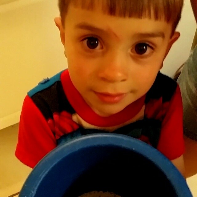 Hunting sand crabs at the Orange Beach. #OrangeBeachCondo  #OrangeBeach #GulfShores