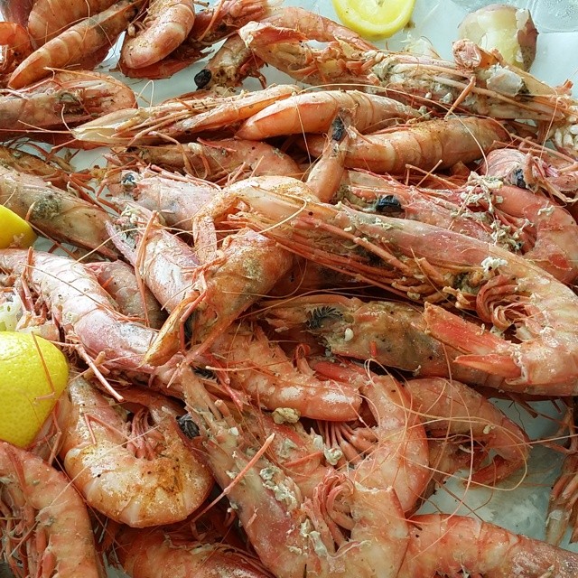 Eating royal reds at our orange beach condo. #OrangeBeachCondo #RoyalReds #OrangeBeach #GulfShores