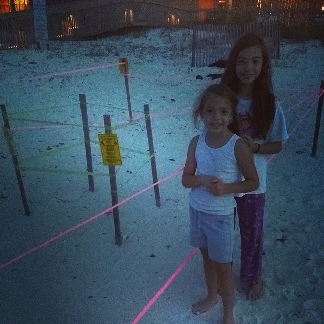 Came out to see of the sea turtles hatched  this morning but no go. The eggs were laid here a while ago. #SeaTurtle #OrangeBeach #SeaTurtles