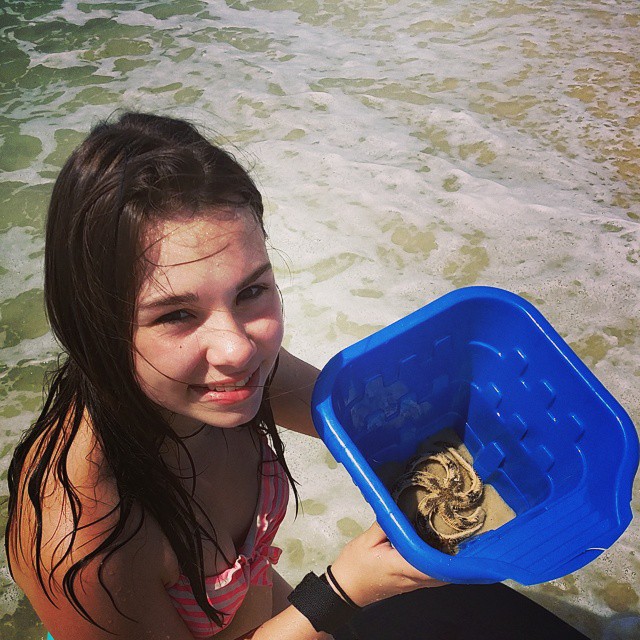 A starfish washed up at the beach condo this morning! #Starfish #OrangeBeachCondo #OrangeBeach #RegencyIsle
