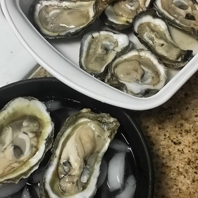 This one for @inahalfshellblog. Look at those two on the bottom compared to the ones on top! I opened these babies tonight! #oysters # #OystersOnTheHalfShell #inahalfshell