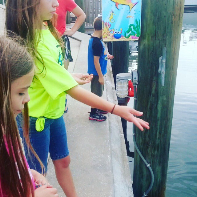 Pulling into Orange Beach today. Feeding the fish out by Gulf Shores Steamers. #OrangeBeach #GulfShoresSteamers #feedingfish
