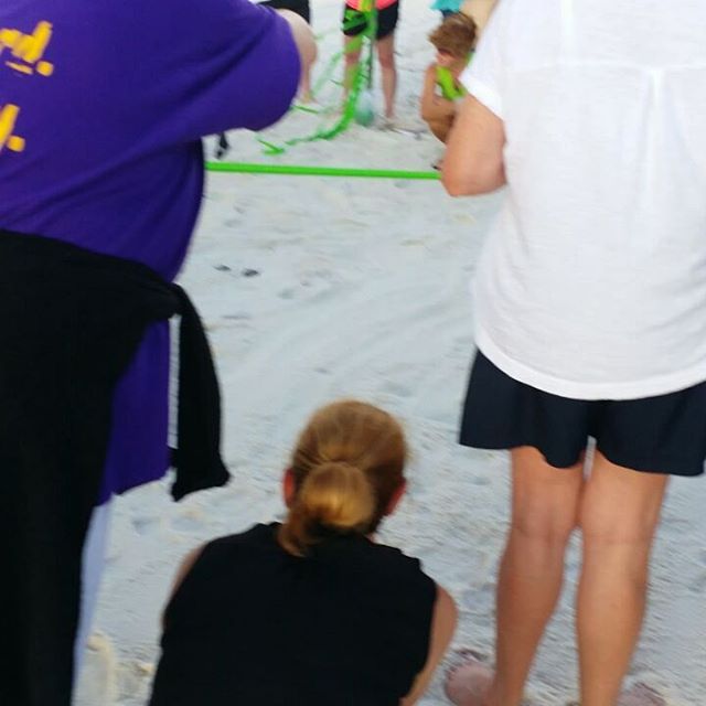 Turtles hatching at Regency Isle condominium the other day. We've been coming here a while and this is the first time we ever witnessed this!
#turtles #seaturtles #seaturtle #turtlehatching #regencyisle #orangebeach #gulfshores #orangebeachcondo #alabama #oba